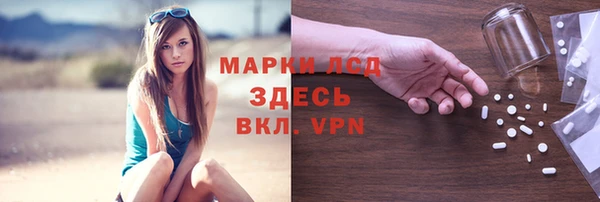 крисы Баксан