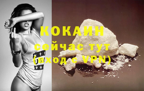 крисы Баксан