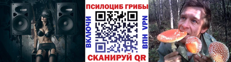 Галлюциногенные грибы Cubensis  Горячеводский 